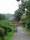 benches and walk